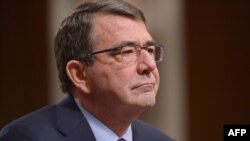 Эштон Картер во время слушаний в сенатском комитете по вопросам вооруженных сил