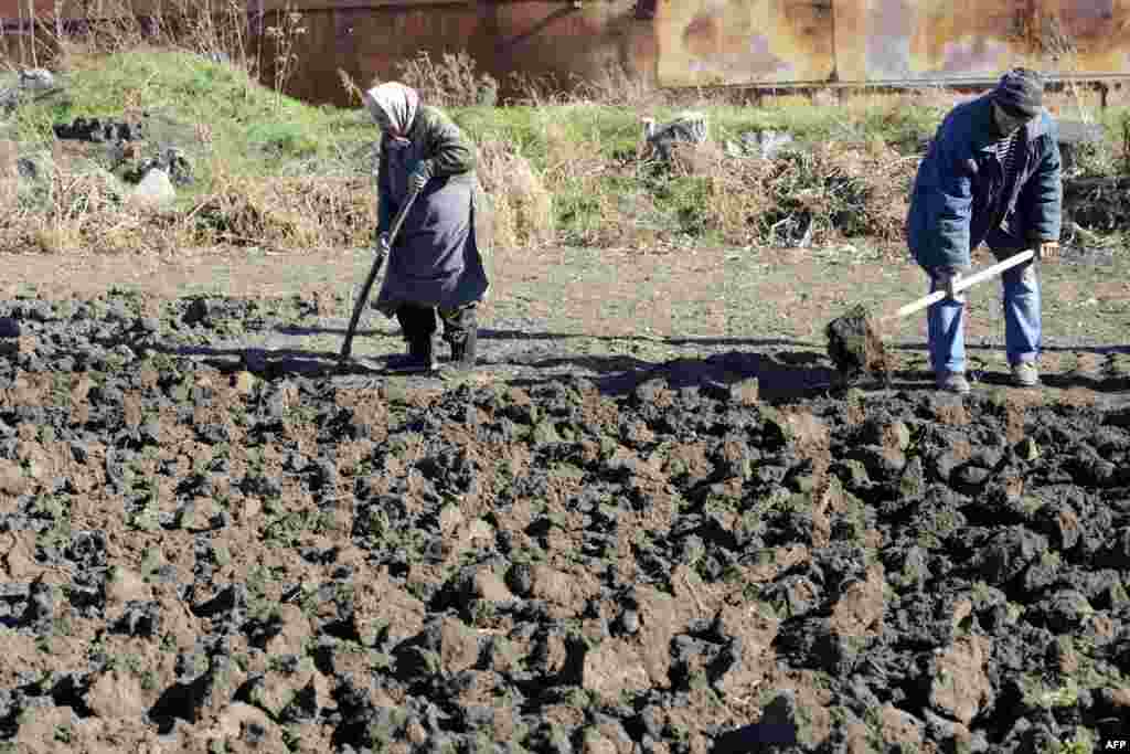 Літні мешканці перекопують ділянку після ночі обстрілу проросійськими бойовиками села Павлопіль, Донецька область, 28 жовтня 2014 року