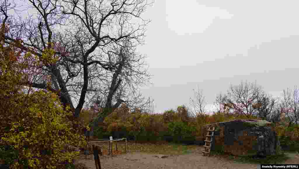 Рядом с этой поляной Нина пела Шурику «Песенку про медведей», а персонаж Юрия Никулина бросал в него с дерева грецкие орехи. «Никулинскому ореху», как он фигурирует в некоторых туристических путеводителях, 177 лет, что зафиксировано на его охранной табличке  