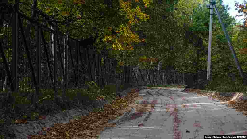 Весь участок леса, переданного "ТАИФу" был обнесён металлическим забором. Это фрагмент забора. В кадре просека, оставшаяся снаружи. По ней можно было доехать от деревни Орёл до берега Волги. 