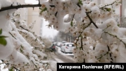 Cнігові баби та санки у квітні: Україну засипало снігом (фотогалерея)