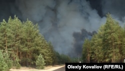 Напередодні лісову пожежу вдалося локалізувати