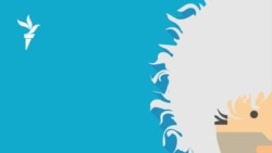 Кадыров в Африке | #184 Кадыров в Африке | #184