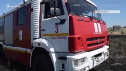 Пожар на лавандовом поле в Севастополе (видео) Пожар на лавандовом поле в Севастополе (видео)