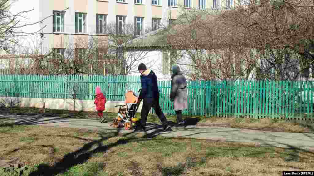 Домашние куры «пасутся» в кустах на бульваре