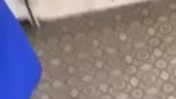 В школе в Набережных Челнах предположительно была попытка вброса В школе в Набережных Челнах предположительно была попытка вброса