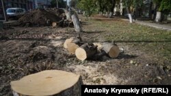 Иллюстративное фото