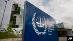 Подання до МКС підготували Міжнародна федерація за права людини (FIDH), Центр громадянських свобод та Харківська правозахисна група