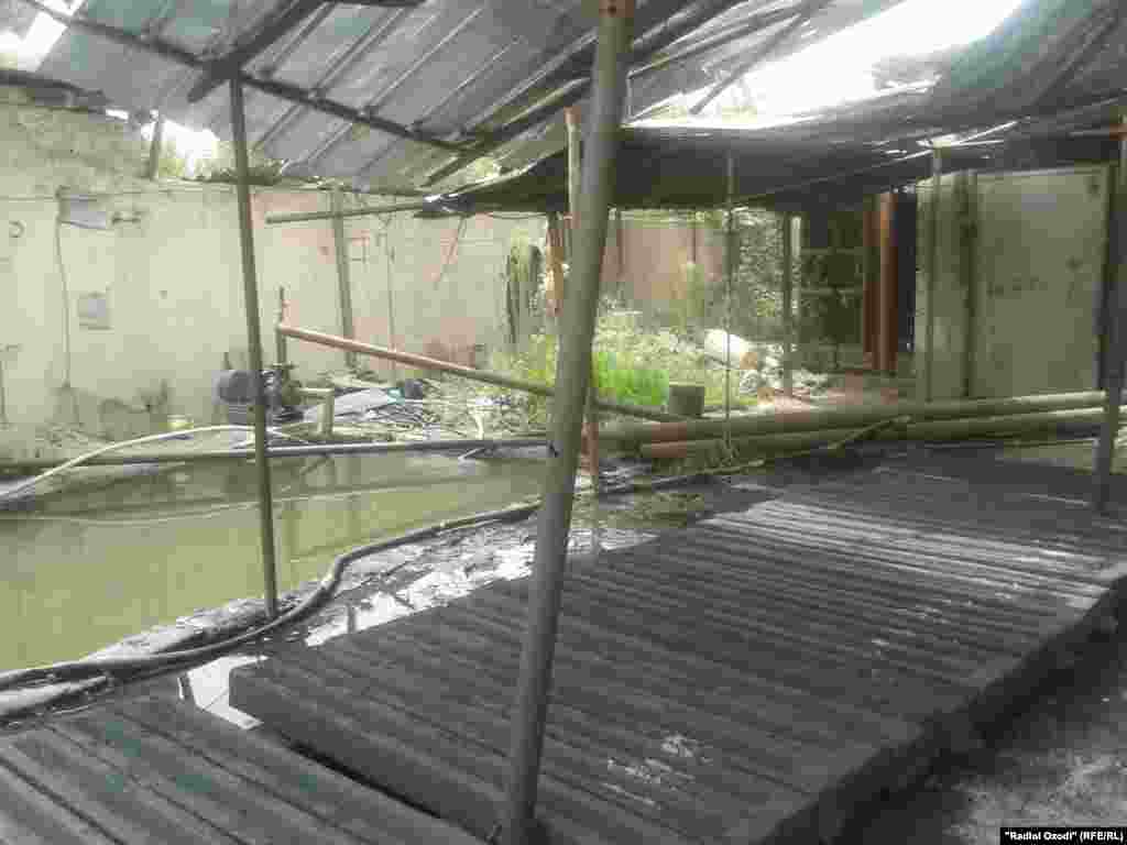 After blast of ammonium chloride.