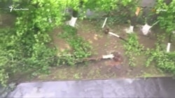 В Москве 11 человек стали жертвами урагана (видео) В Москве 11 человек стали жертвами урагана (видео)