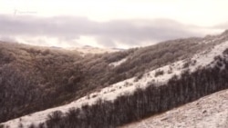 Зима на склонах нижнего плато Чатыр-Дага (видео) Зима на склонах нижнего плато Чатыр-Дага (видео)