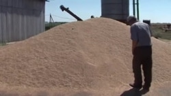 Производители хлеба предупредили о повышении цен Производители хлеба предупредили о повышении цен