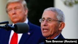 Голова Національного інституту з питань алергій та інфекційних хвороб США Ентоні Фаучі (праворуч) назвав розробку «дуже значущою»