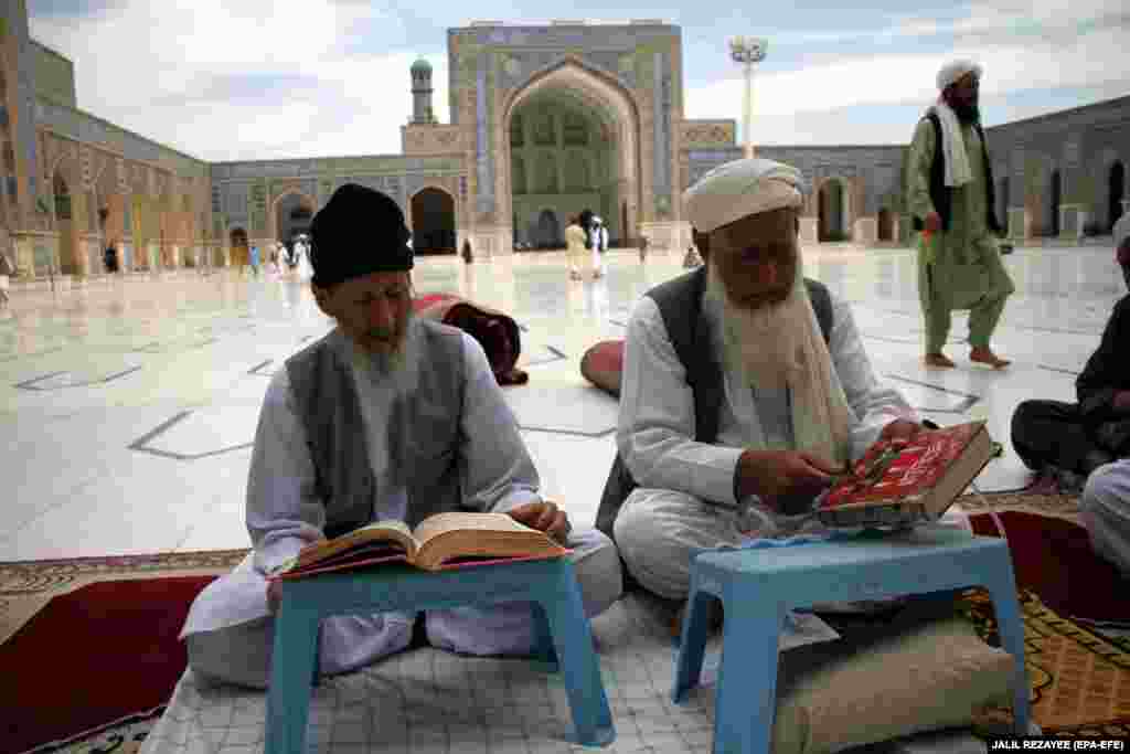 Герат, Афганистан. Мусульмане читают Коран вблизи мечети 