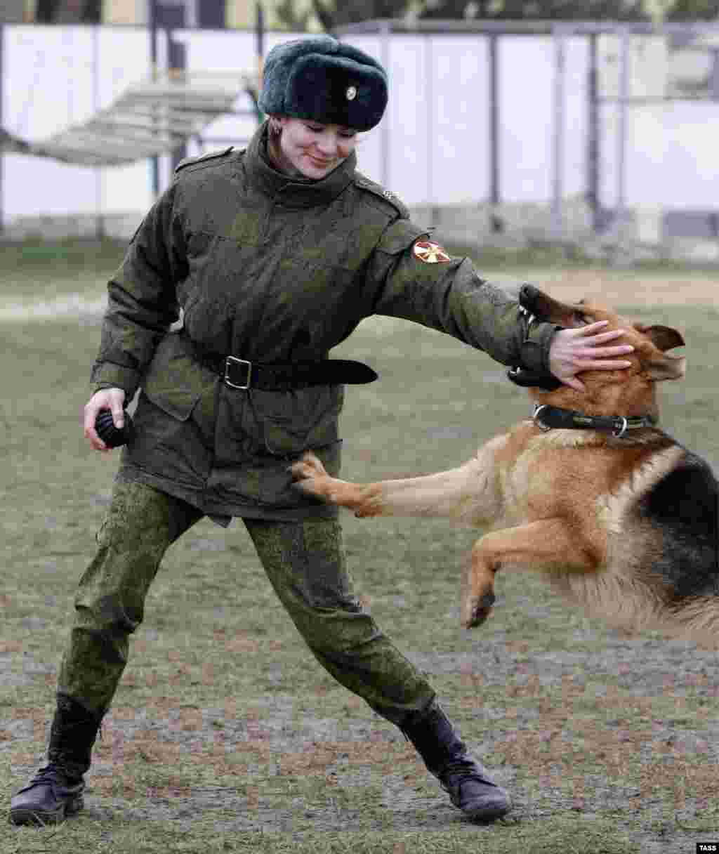 Евгения Швенцель – кинолог и инструктор общей дрессировки служебных собак при МВД России. С Евгенией на фото также запечатлена ее «подопечная», немецкая овчарка по кличке Жасмин