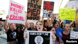 Акция за ужесточение контроля за оружием, Флорида, 17 февраля 2018 года