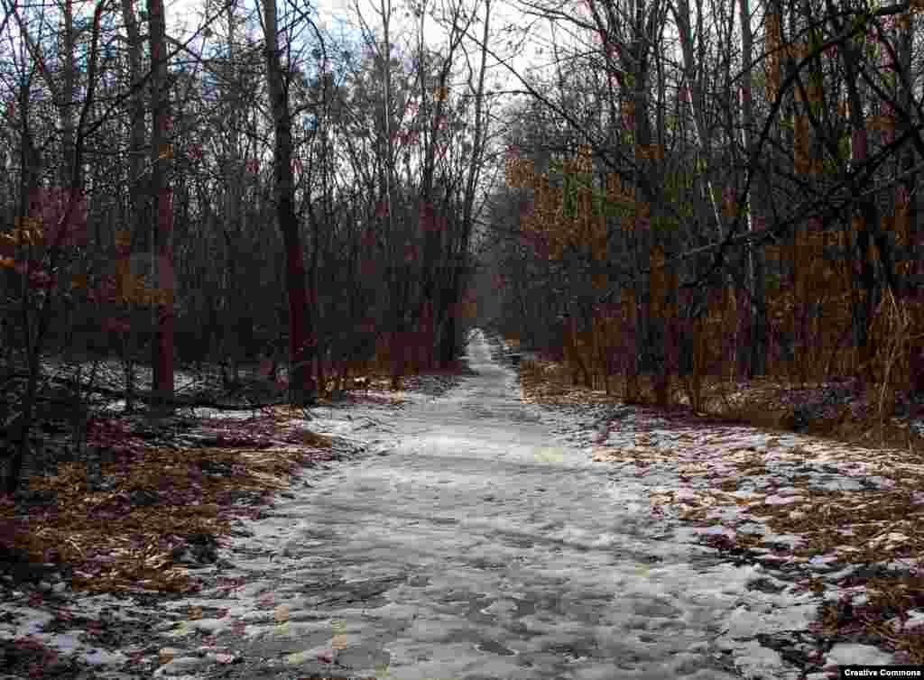 А сам Бабин Яр нині – це тихий парк, де за доброї погоди гуляють під деревами парочки чи катаються велосипедисти. «Є речі, є трагедії, перед безмірністю яких будь-яке слово безсиле і про які більше скаже мовчання – велике мовчання тисяч людей. Може, і нам годилося б тут обійтися без слів і мовчки думати про одне й те ж. Однак мовчання багато говорить лише там, де все, що можна сказати, вже сказане. Коли ж сказано ще далеко не все, коли ще нічого не сказано – тоді мовчання стає спільником неправди й несвободи. Тому ми говоримо, і мусимо говорити, де можна й де не можна, використовуючи всяку з нагод, які трапляються нам так нечасто». — З виступу письменника Івана Дзюби в Бабиному Ярі 1966 року