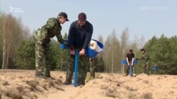 Лукашенко з песиком долучився до суботника попри коронавірус – відео Лукашенко з песиком долучився до суботника попри коронавірус – відео