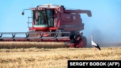 Документ змінює правила експорту аграрної продукції з метою «унеможливити зловживання та порушення законодавства під час експорту агропродукції»