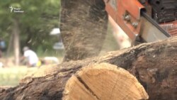 На Хортиці будують козацький човен-дуб за старовинними кресленнями (відео) На Хортиці будують козацький човен-дуб за старовинними кресленнями (відео)