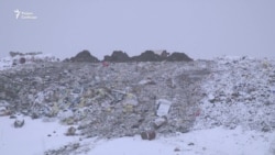 Жизнь на свалке Жизнь на свалке