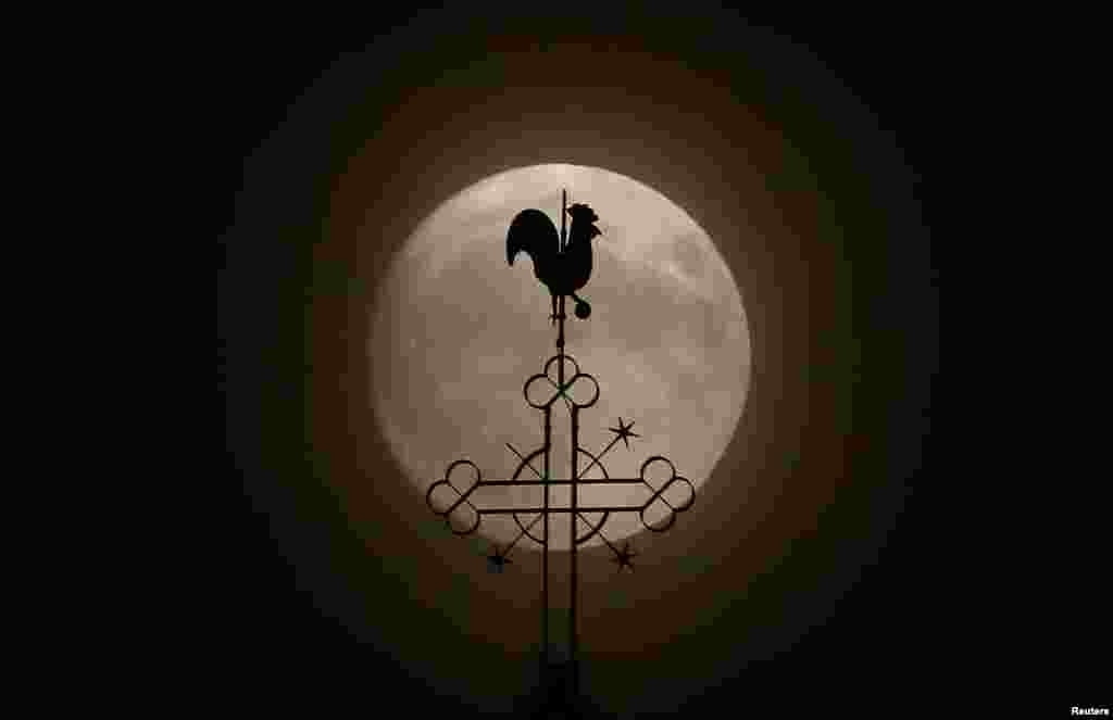 Флюгер на храмі Петра і Павла на тлі місяця. Містечко Клайн-Аугайм, Німеччина. 13 листопада