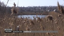 Як Зеленський буде воювати з Росією на Донбасі? Як Зеленський буде воювати з Росією на Донбасі?