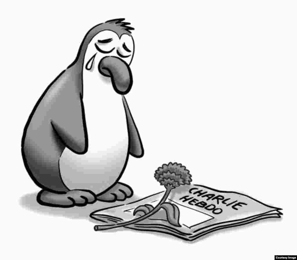 Маҷаллаи "Пингвин" (Туркия)