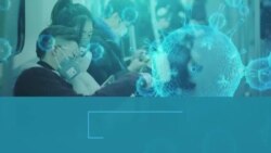 Алёна Вершинина - о борьбе с пандемией Алёна Вершинина - о борьбе с пандемией