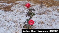 У зв’язку з переміщенням активного циклону очікуються опади у вигляді дощу та мокрого снігу