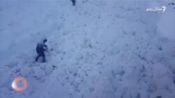 د جنورۍ ۲۰مې ویډیويي خبرونه د جنورۍ ۲۰مې ویډیويي خبرونه