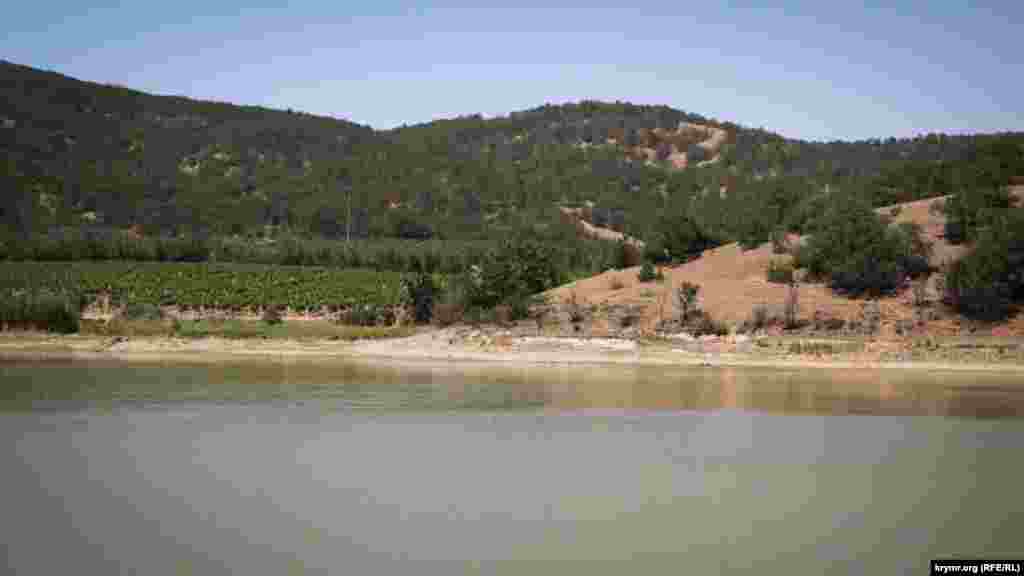 Озеро, которые местные называют «Брынзой», из-за отсутствия осадков в последние полгода сильно обмелело, что разочаровывает местных рыбаков. Ведь раньше тут ловились и сазаны, и толстолобики