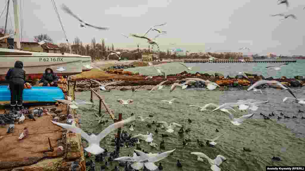 А причал яхт-клуба – северная оконечность