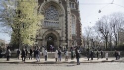 Вербна неділя. Як у Львові освячували вербові галузки? (відео) Вербна неділя. Як у Львові освячували вербові галузки? (відео)