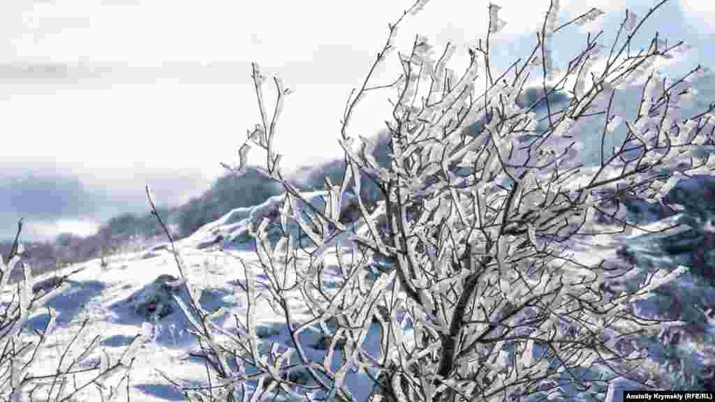 Чем дальше в горы – тем больше снега