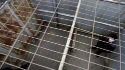 Правосудие. По ту сторону забора Правосудие. По ту сторону забора