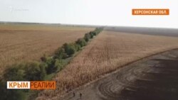 Крым – без воды и без сельского хозяйства | Крым.Реалии ТВ (видео) Крым – без воды и без сельского хозяйства | Крым.Реалии ТВ (видео)