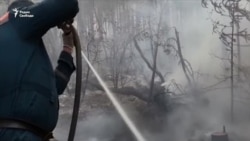 В Сибири горят леса В Сибири горят леса