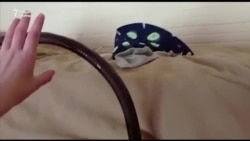 Кровати шатаются, двери не закрываются Кровати шатаются, двери не закрываются