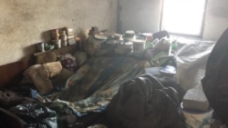 Такая обстановка у Екатерины в доме Такая обстановка у Екатерины в доме