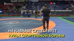 Почему кавказцам-драчунам мало ринга? Почему кавказцам-драчунам мало ринга?