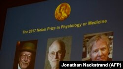 Лауреати Нобелівської премії з медицини 2017 року (зліва направо) Джеффрі Голл, Майкл Росбаш, Майкл Янґ