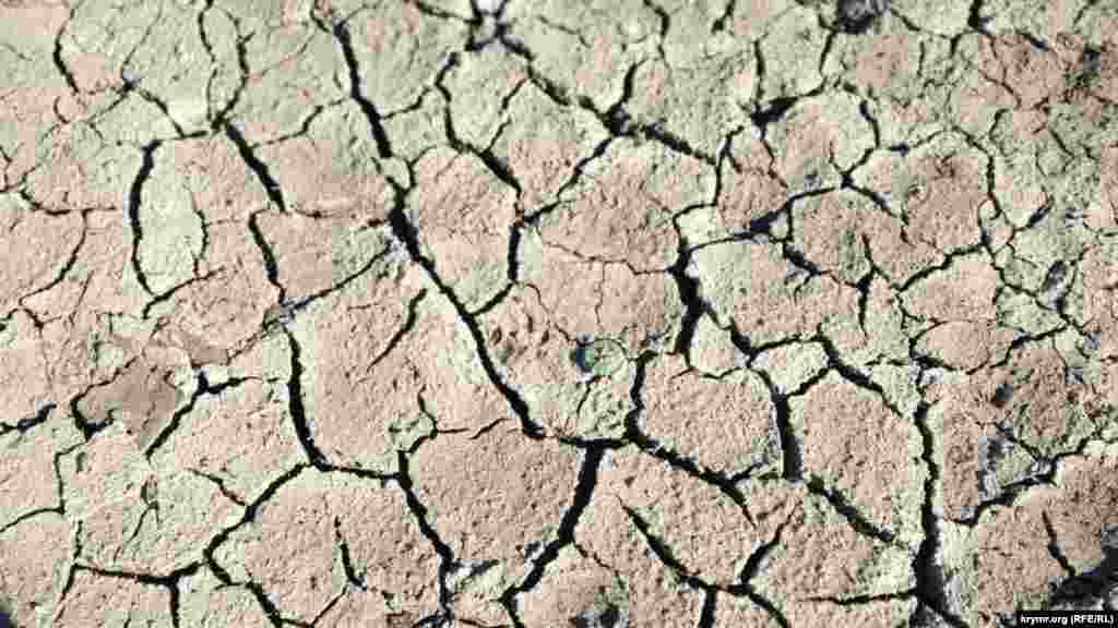 2020 год. Вода в том же Симферопольском водохранилище отступила настолько, что оголила слой грунта. Российский глава Крыма Сергей Аксенов заявлял, что Крым сможет продержаться до середины лета. Даже если не будет осадков