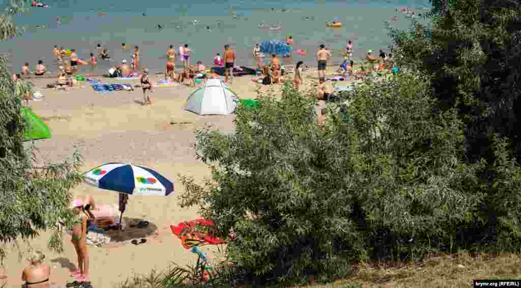 От солнца пляжники могут спрятаться в тени лохов узколистных 