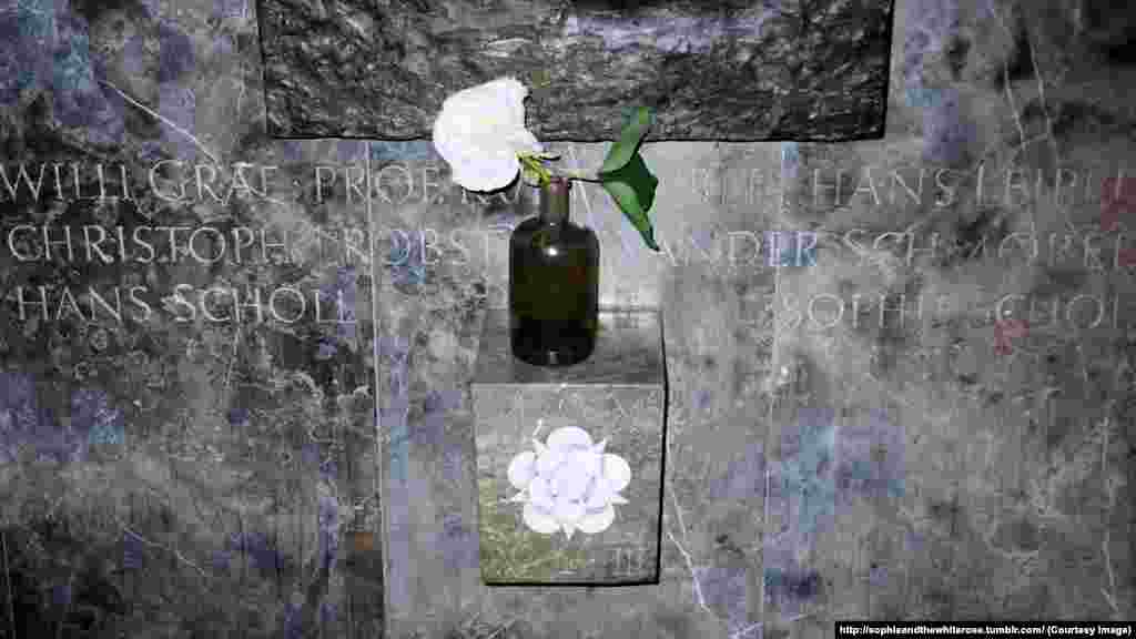 Памятник "Белой Розе", фрагмент