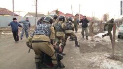 Беспорядки в цыганском поселке в Тульской области (видео) Беспорядки в цыганском поселке в Тульской области (видео)