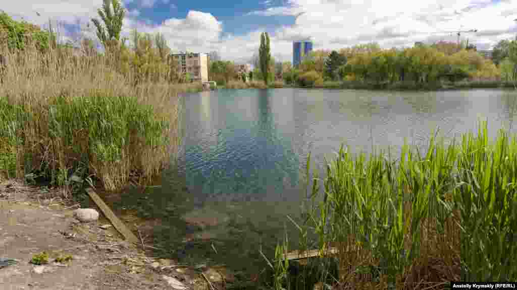 Пруд в районе улицы Радищева в буквальном смысле – издержки строительного производства. По словам старожилов, в начале 50-х годов прошлого столетия там, под горой, экскаватором черпали глину для устройства другого городского водоема и таким образом вскрыли верхние водоносные горизонты. За считанные дни весь большой котлован заполнился чистой водой.