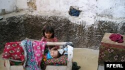 Акс аз соли 2006