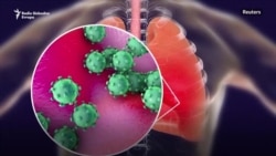 Pogubne posledice koronavirusa po svetsku ekonomiju Pogubne posledice koronavirusa po svetsku ekonomiju