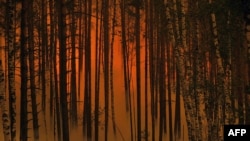 У деревни Голованово Рязанской области